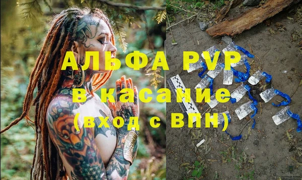 хмурый Ельня