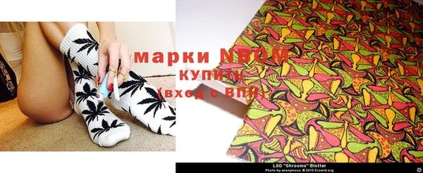шишки Аша