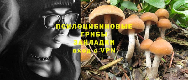 MESCALINE Михайлов