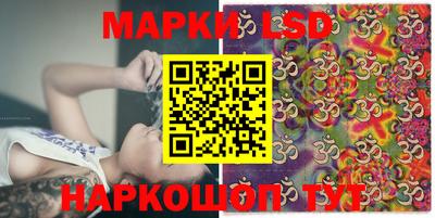 PSILOCYBIN Гатчина