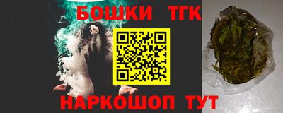 PSILOCYBIN Гатчина