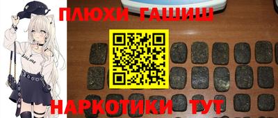 PSILOCYBIN Гатчина