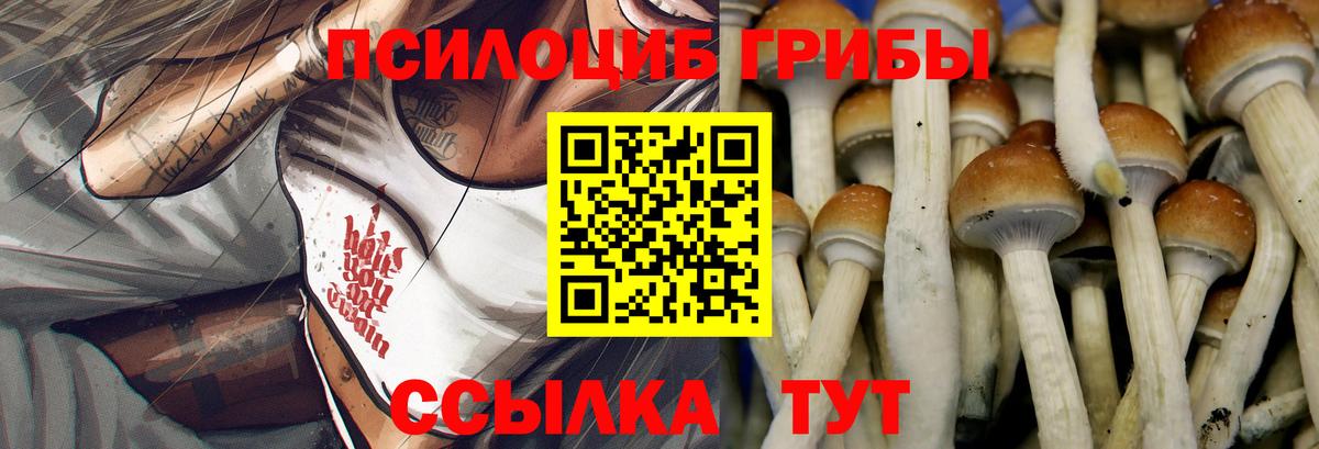 Дзержинский  Псилоцибиновые грибы ЛСД  Вход с VPN 